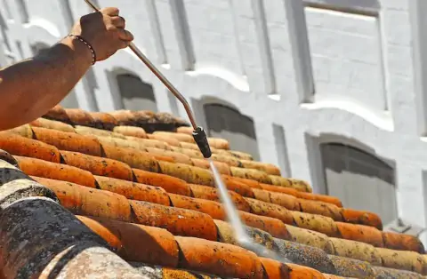 Nettoyage de toitures - Marigny-les-Usages